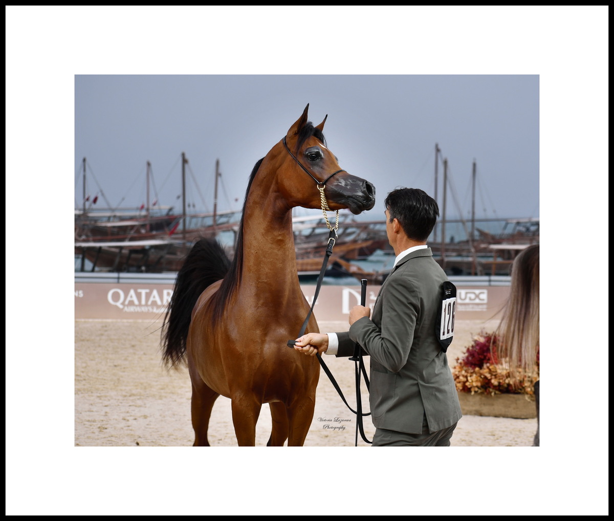 Paolo Capecci & junior Arabian colt