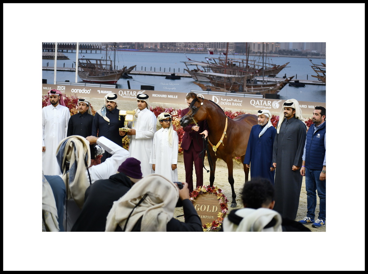 Al Shaqab Team and the triumphant Shahalel Al Shaqab