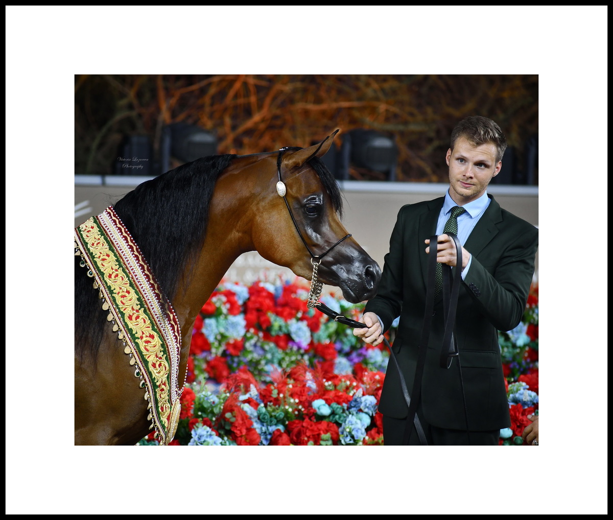Arnauld Mertens & junior filly Shahalel Al Shaqab, QATAR