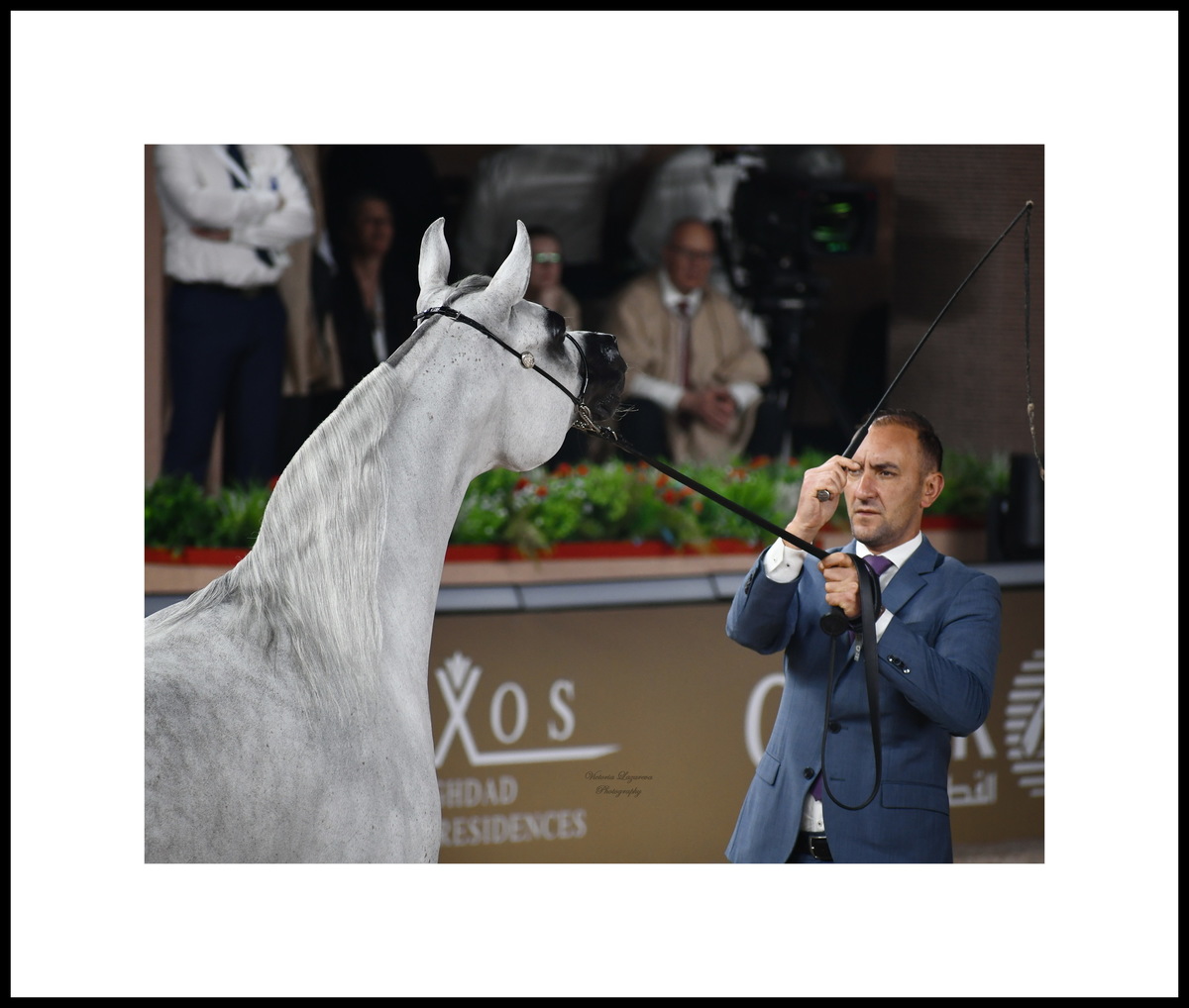 Glenn Schoukens & Arabian mare Al Aryam Banafsaj
