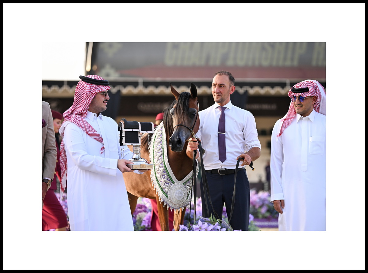 Prince Abdulmajeed bin Sultan Al Saud alongside the manager of Akmal Stud Fahad Alghofaily, trainer Glenn Schoukens and the triumphant yearling filly Areej Akmal. Photo credit by gcarabianstour.com ©