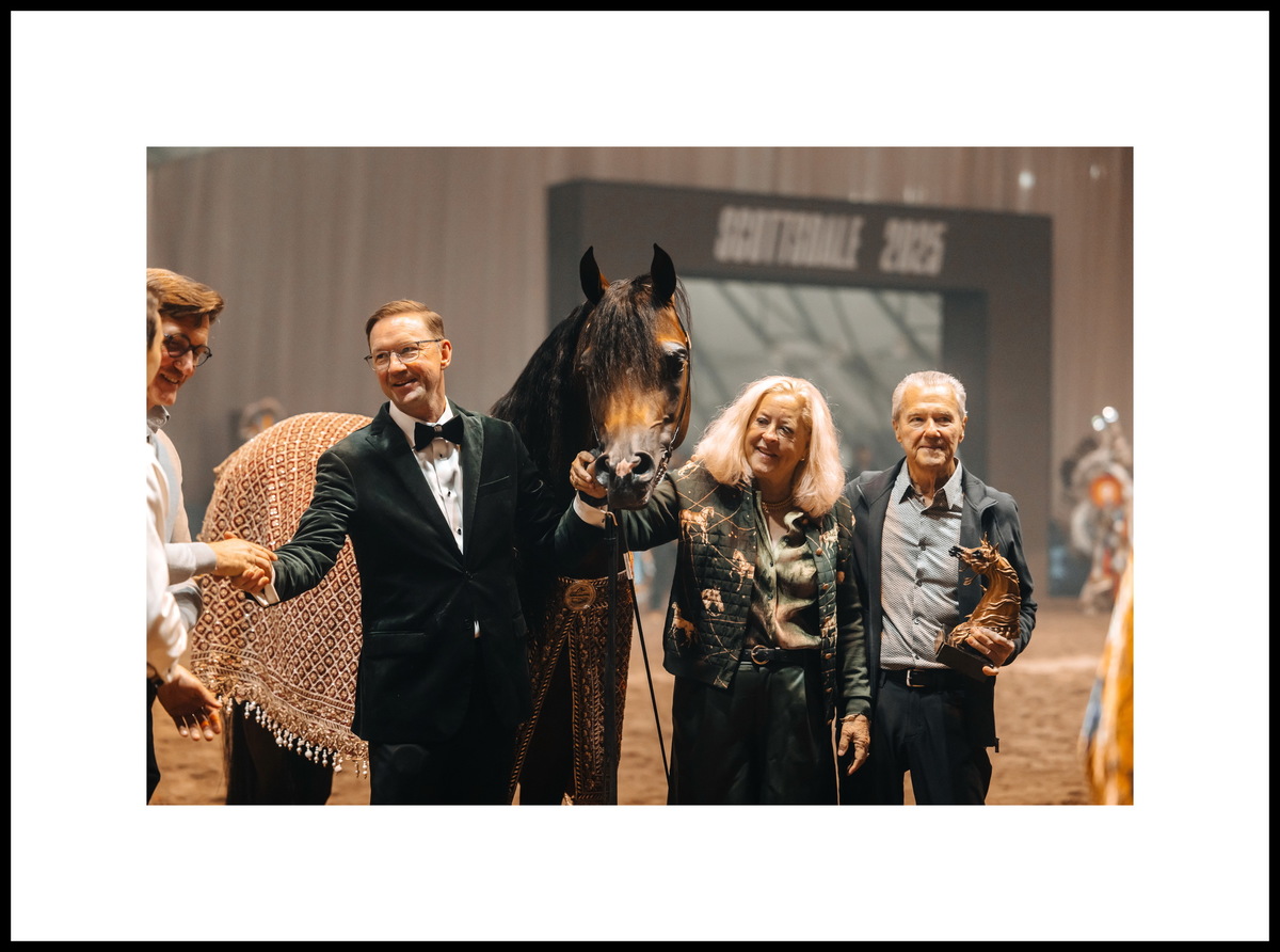 Arabian stallion Tasheem PMA, his owner Theresa Lungwitz - Royal T Arabians, US. Photo credit © Global Champions Arabians Tour