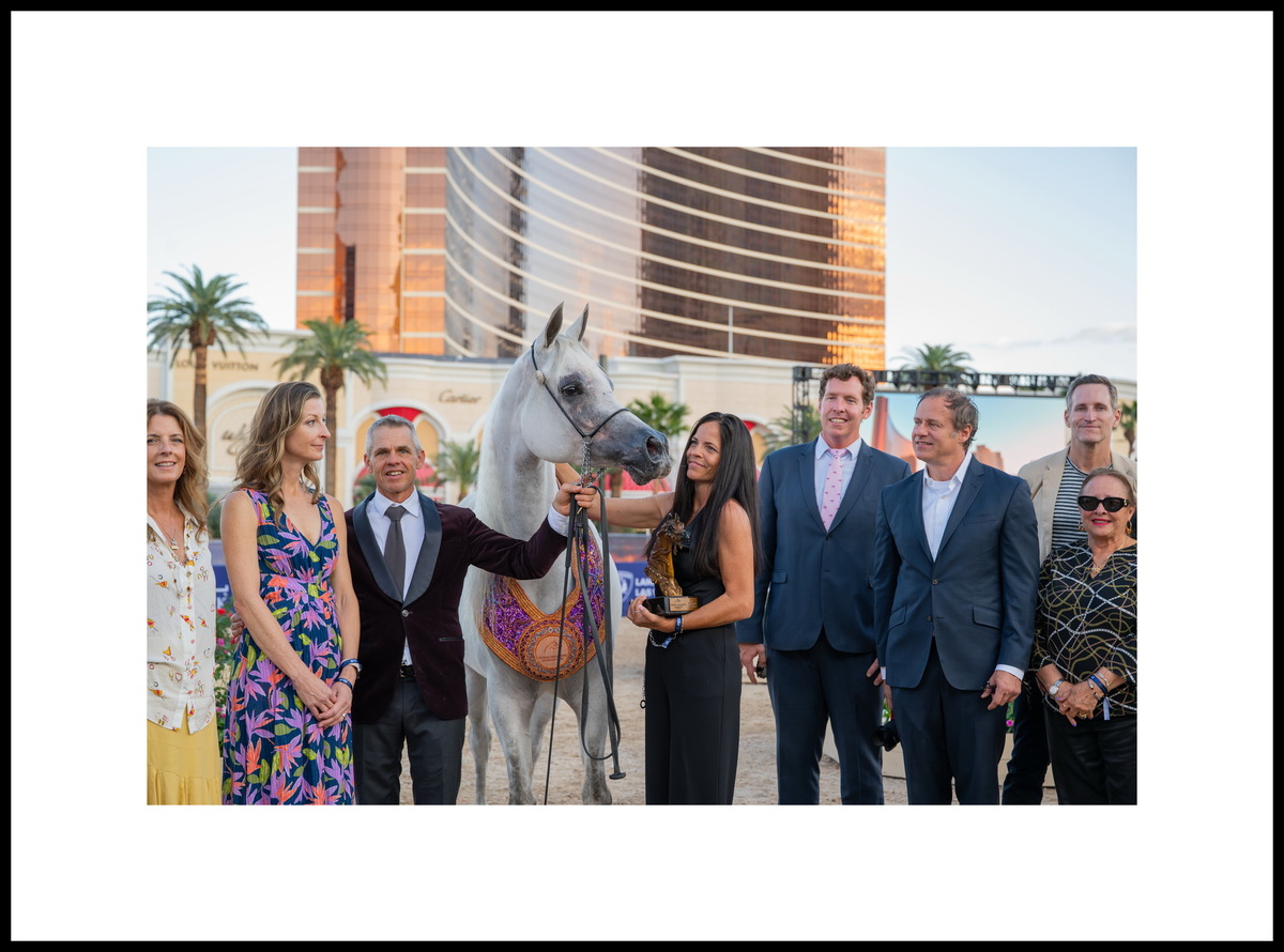 Arabian mare Vixxen K: silver in Denver, three bronzes in Scottsdale, Miami, and Las Vegas. Photo credit © Global Champions Arabians Tour